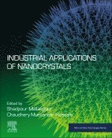 bokomslag Industrial Applications of Nanocrystals