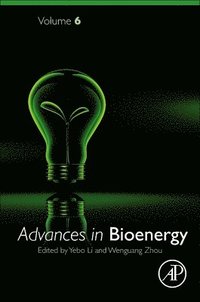 bokomslag Advances in Bioenergy