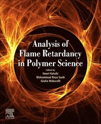 bokomslag Analysis of Flame Retardancy In Polymer Science