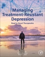 Joao L. de Quevedo, Patricio Riva-Posse, William V. Bobo, Joao L de Quevedo, William V Bobo - Managing Treatment-Resistant Depression, Häftad