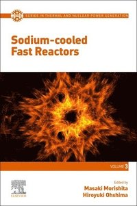 bokomslag Sodium-cooled Fast Reactors