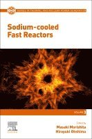 Sodium-cooled Fast Reactors 1