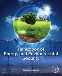 bokomslag Handbook of Energy and Environmental Security