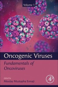 bokomslag Oncogenic Viruses Volume 1