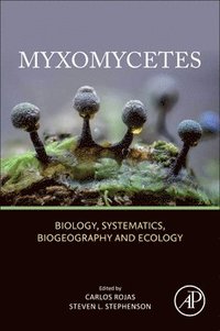 bokomslag Myxomycetes