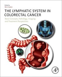 bokomslag The Lymphatic System in Colorectal Cancer