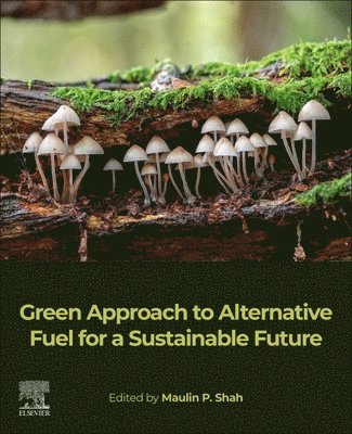 Green Approach to Alternative Fuel for a Sustainable Future 1