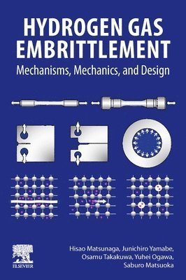 Hisao Matsunaga, Junichiro Yamabe, Osamu Takakuwa, Yuhei Ogawa, Saburo Matsuoka - Hydrogen Gas Embrittlement, Häftad