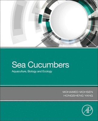 Sea Cucumbers 1