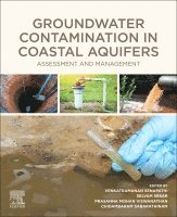 bokomslag Groundwater Contamination in Coastal Aquifers