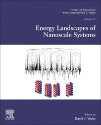 bokomslag Energy Landscapes of Nanoscale Systems