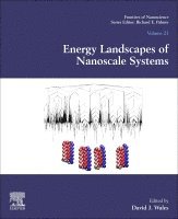 David J. Wales - Energy Landscapes of Nanoscale Systems, Häftad