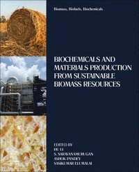 bokomslag Biomass, Biofuels, Biochemicals