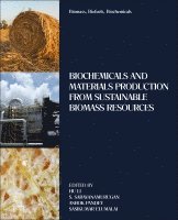 Hu Li, S. Saravanamurugan, Ashok Pandey, Sasikumar Elumalai - Biomass, Biofuels, Biochemicals, Häftad