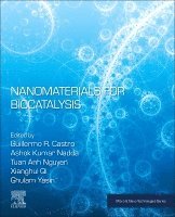 Guillermo R. Castro, Ashok Kumar Nadda, Tuan Anh Nguyen, Xianghui Qi, Ghulam Yasin - Nanomaterials for Biocatalysis, Häftad