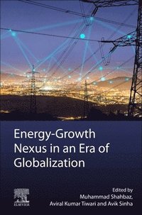 bokomslag Energy-Growth Nexus in an Era of Globalization