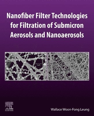 Nanofiber Filter Technologies for Filtration of Submicron Aerosols and Nanoaerosols 1