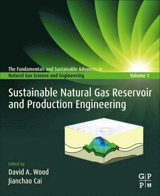 bokomslag Sustainable Natural Gas Reservoir and Production Engineering