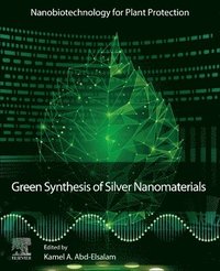 bokomslag Green Synthesis of Silver Nanomaterials
