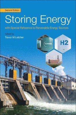 bokomslag Storing Energy