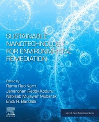bokomslag Sustainable Nanotechnology for Environmental Remediation