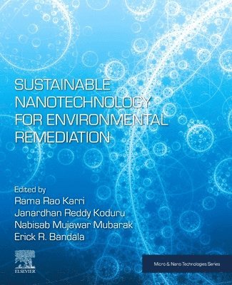 Sustainable Nanotechnology for Environmental Remediation 1