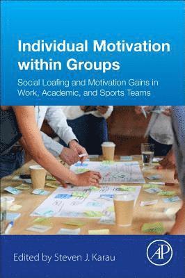 bokomslag Individual Motivation within Groups