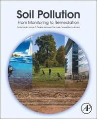 bokomslag Soil Pollution
