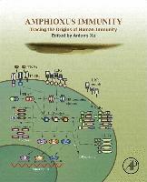 bokomslag Amphioxus Immunity