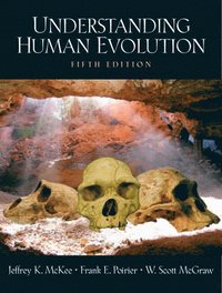 bokomslag Understanding Human Evolution