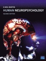 bokomslag Human Neuropsychology