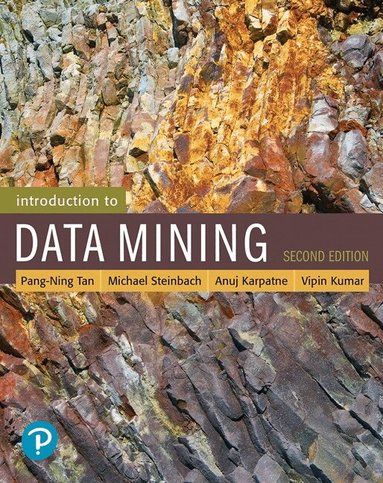 Pang-Ning Tan, Michael Steinbach, Vipin Kumar - Introduction to Data Mining, Inbunden
