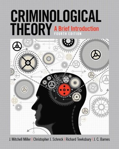 bokomslag Criminological Theory