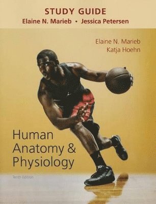 bokomslag Study Guide for Human Anatomy & Physiology