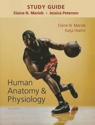 Study Guide for Human Anatomy & Physiology 1