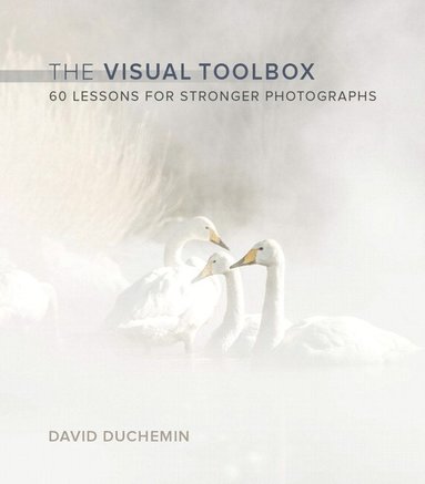 bokomslag Visual Toolbox, The