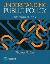 bokomslag Understanding Public Policy