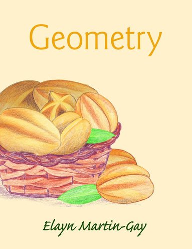 bokomslag Geometry