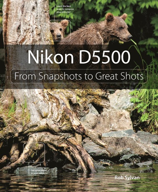 Nikon D5500 1