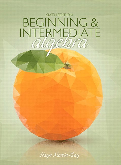 Beginning & Intermediate Algebra 1