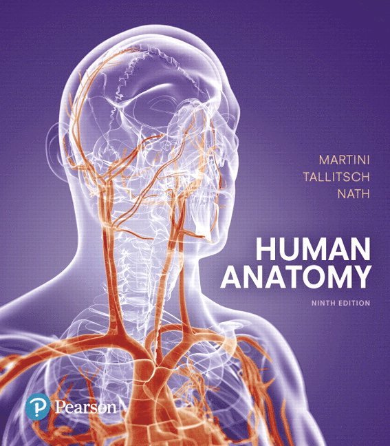 Human Anatomy 1