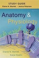 Study Guide for Anatomy & Physiology