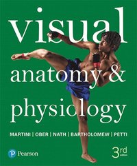 bokomslag Visual Anatomy & Physiology