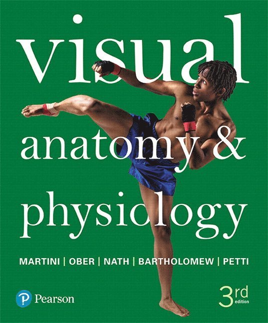 Visual Anatomy & Physiology