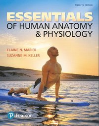 bokomslag Essentials of Human Anatomy & Physiology