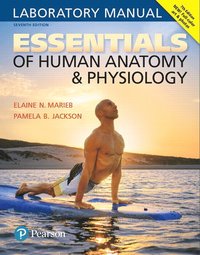 bokomslag Essentials of Human Anatomy & Physiology Laboratory Manual