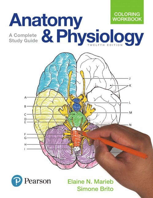 Anatomy and Physiology Coloring Workbook