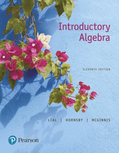 bokomslag Introductory Algebra