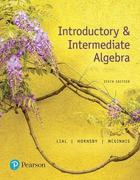 bokomslag Introductory & Intermediate Algebra