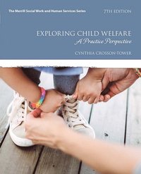 bokomslag Exploring Child Welfare